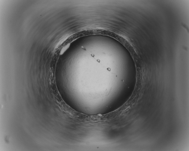 X0000103130871200808221151