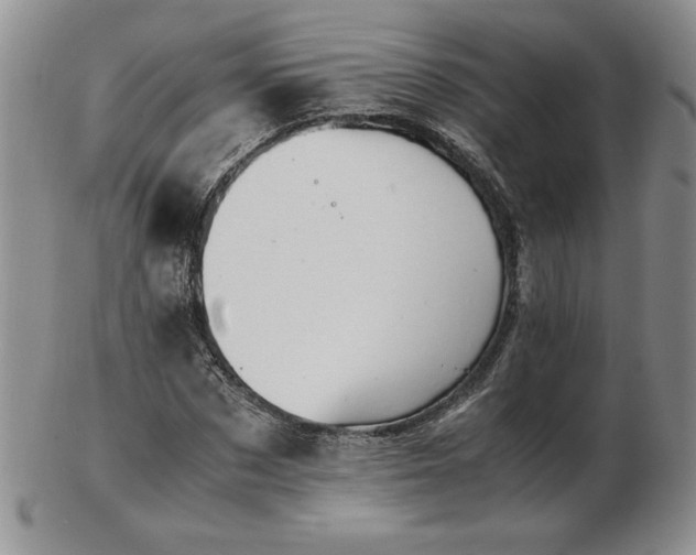 X0000103130873200808221151