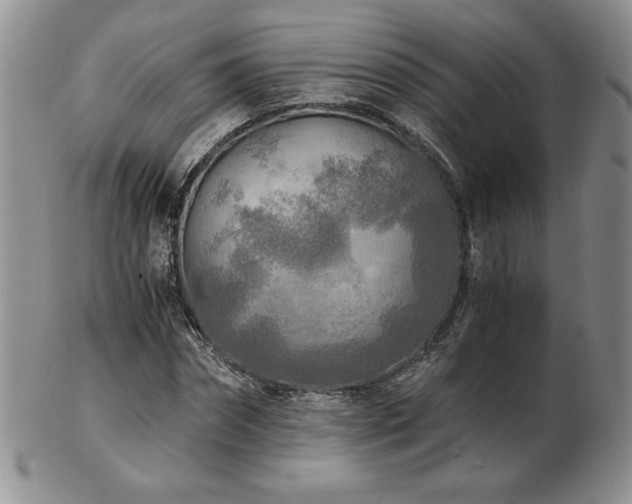 X0000103130874200808221151