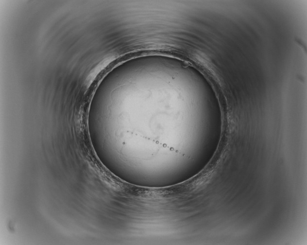 X0000103130875200808221151
