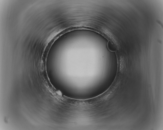 X0000103130876200808221151