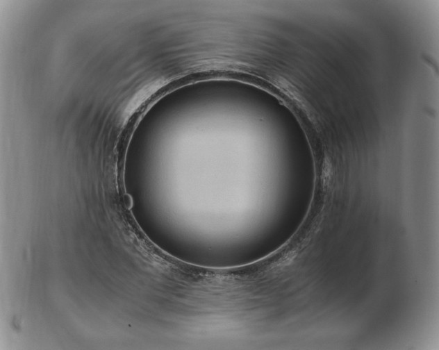 X0000103130877200808221151