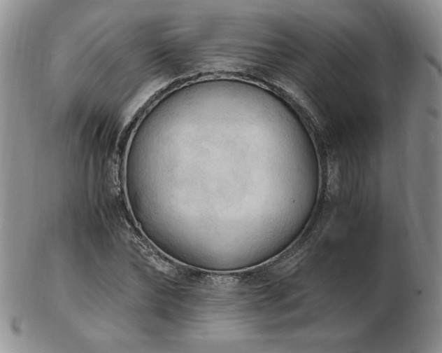 X0000103130878200808221151