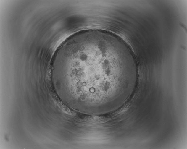X0000103130879200808221151