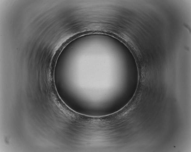 X0000103130880200808221151