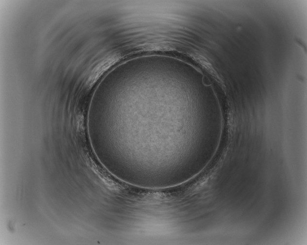 X0000103130881200808221151