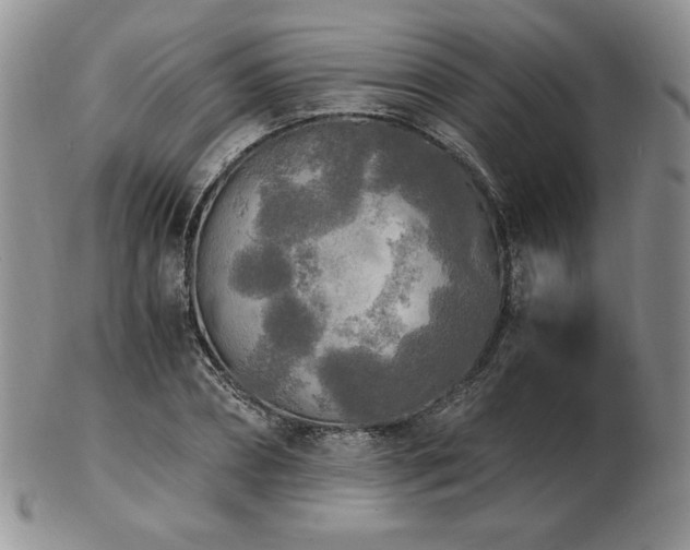 X0000103130882200808221151