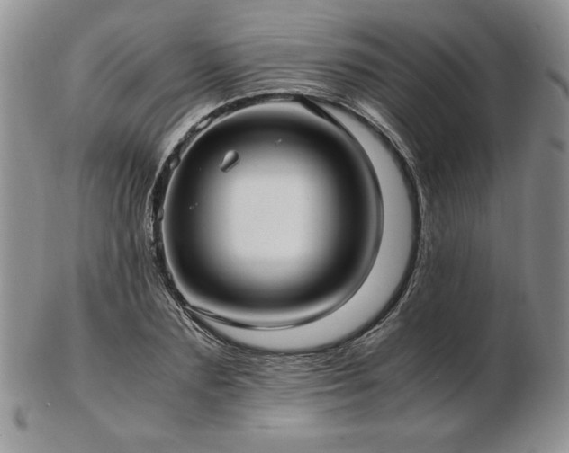 X0000103130883200808221151