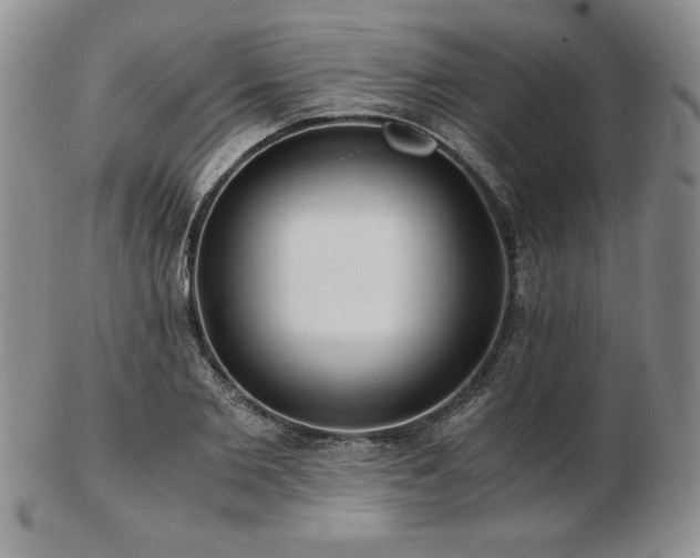 X0000103130885200808221151