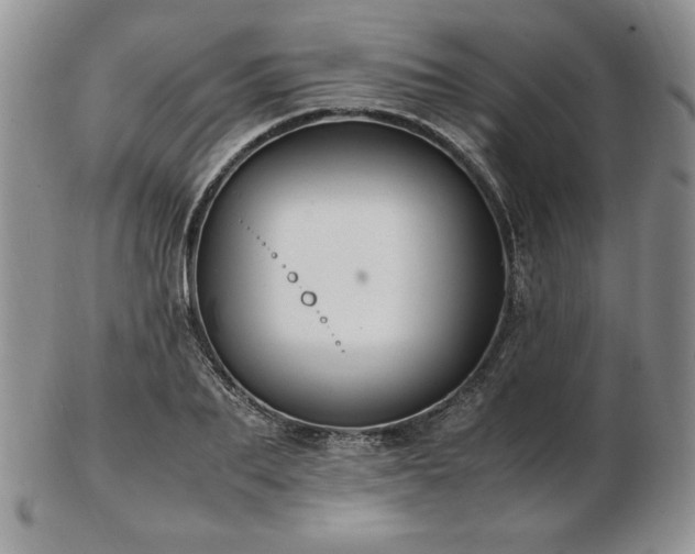 X0000103130887200808221151