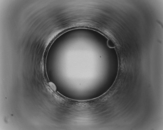 X0000103130888200808221151