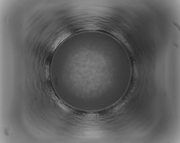 X0000103130889200808221151