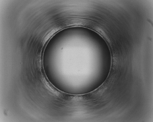 X0000103130890200808221151