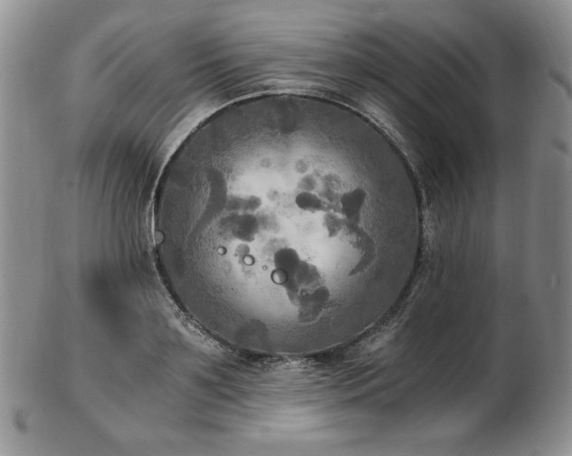 X0000103130891200808221151