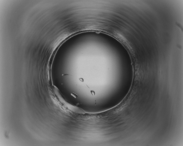 X0000103130892200808221151