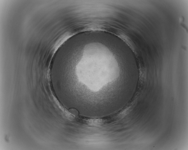 X0000103130893200808221151