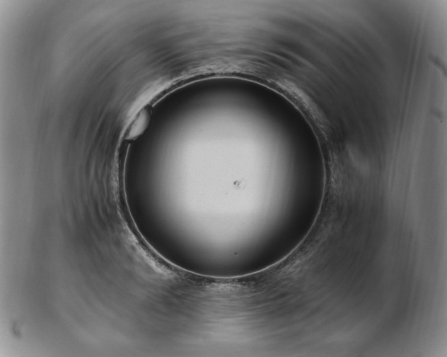 X0000103130894200808221151