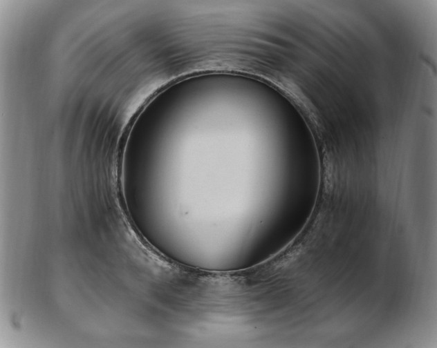 X0000103130896200808221151