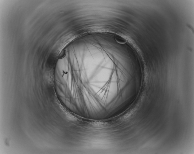 X0000103130897200808221151