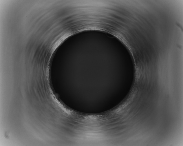 X0000103130898200808221151