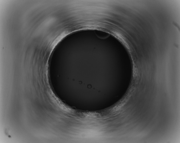 X0000103130899200808221151