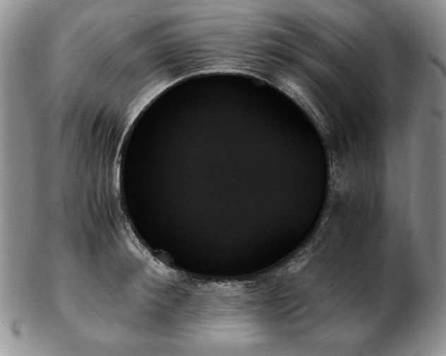 X0000103130900200808221151