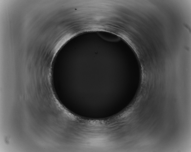 X0000103130901200808221151