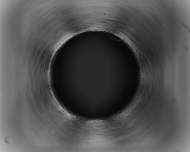 X0000103130902200808221151