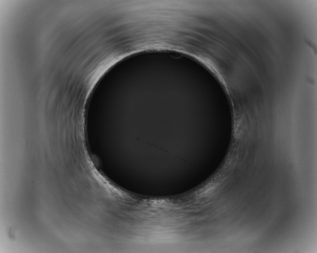 X0000103130903200808221151