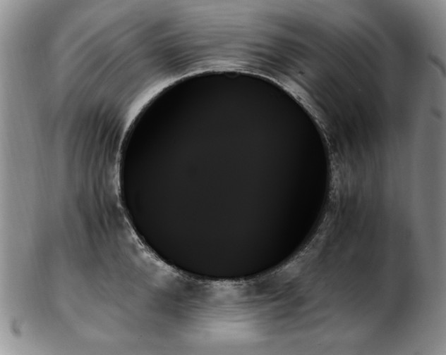X0000103130904200808221151