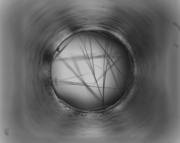 X0000103130905200808221151