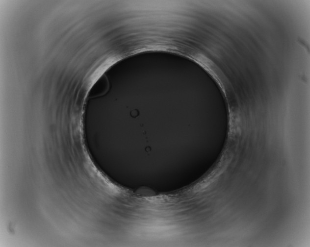 X0000103130906200808221151