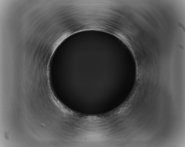 X0000103130907200808221151