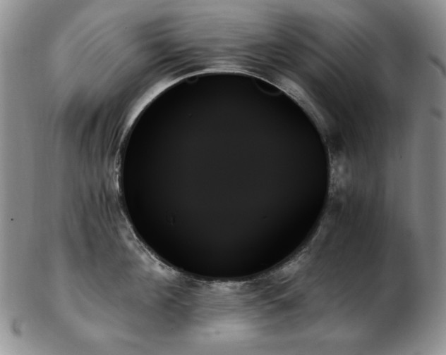 X0000103130908200808221151