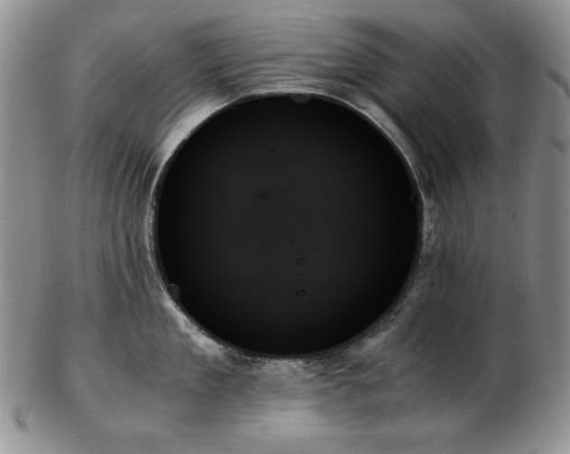 X0000103130909200808221151