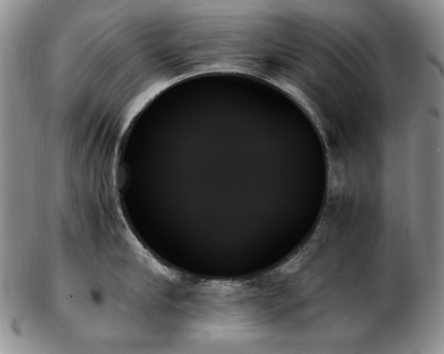 X0000103130910200808221151