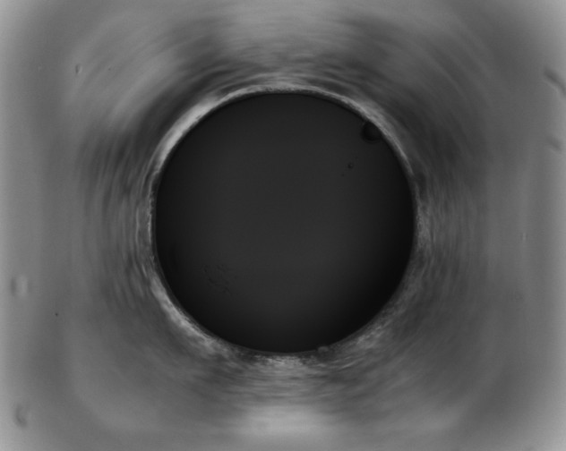 X0000103130911200808221151