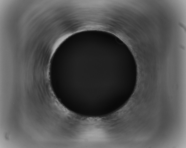 X0000103130912200808221151