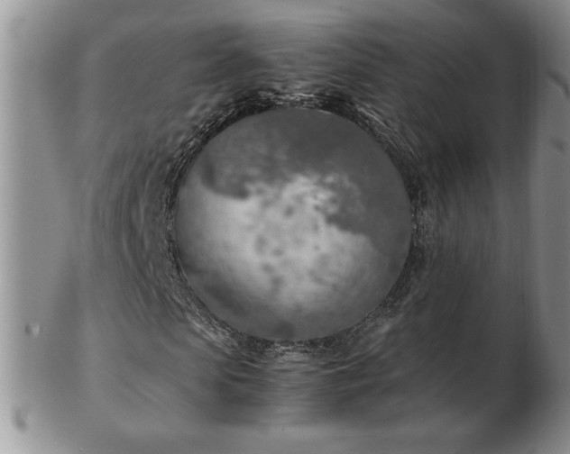 X0000103130913200808221150