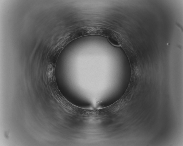 X0000103130914200808221150