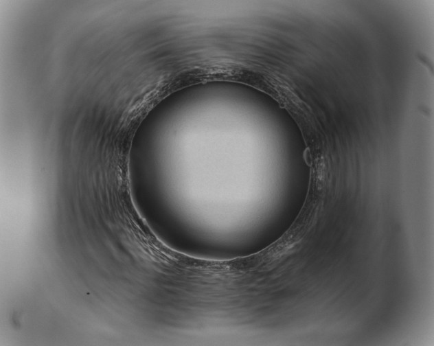 X0000103130916200808221150