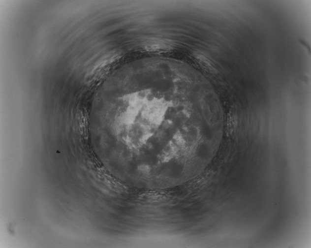 X0000103130917200808221150