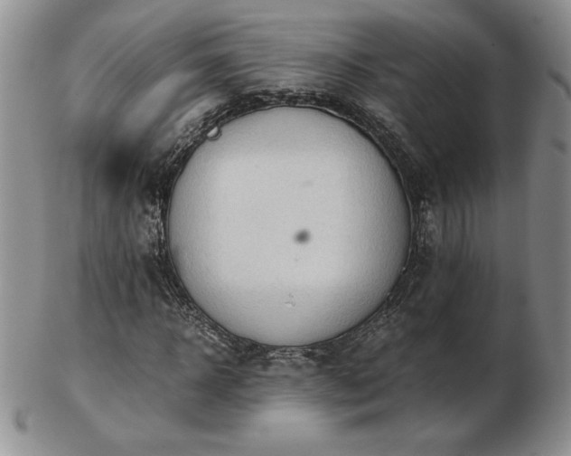 X0000103130918200808221150