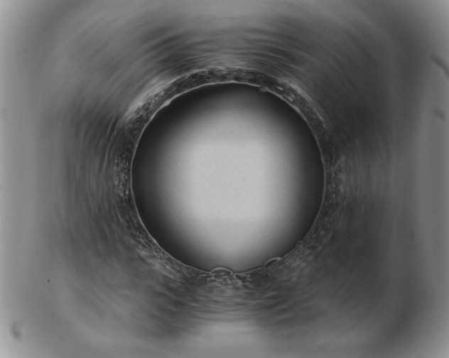 X0000103130919200808221150