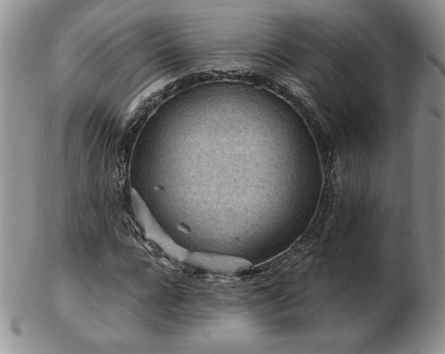 X0000103130920200808221150