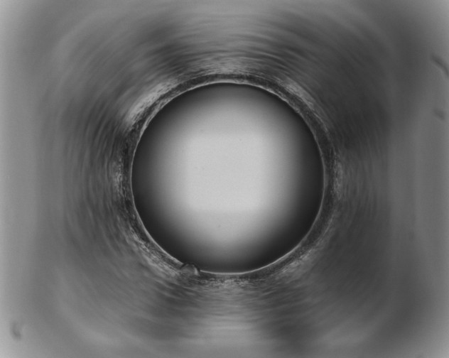 X0000103130922200808221150