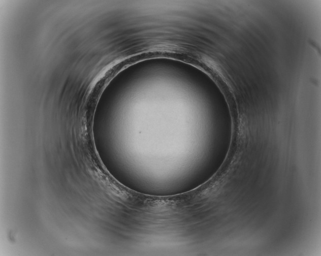 X0000103130923200808221150