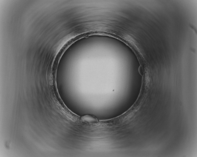 X0000103130924200808221150
