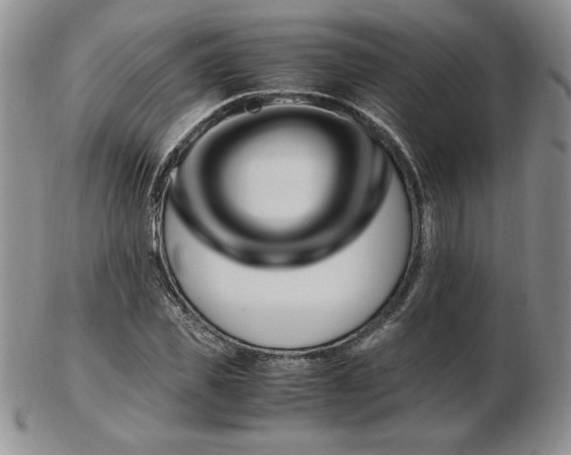 X0000103130925200808221150