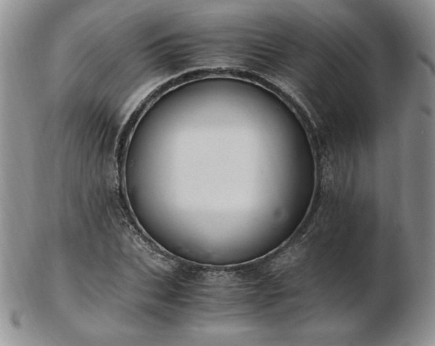 X0000103130927200808221150